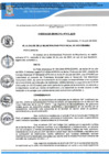 Vista preliminar de documento OM N 576_2024