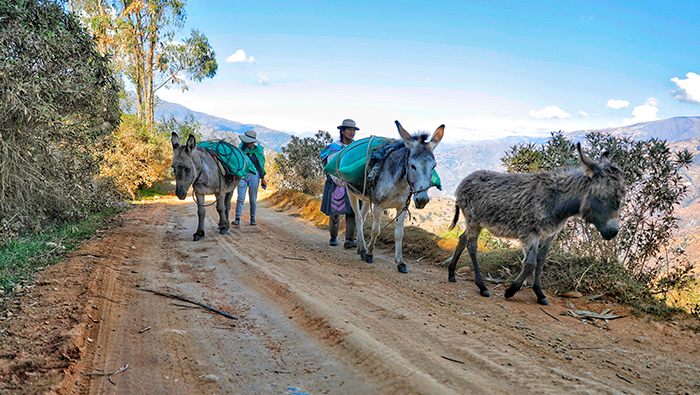 VRAEM CAMINO HUANCAVELICA