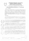 Vista preliminar de documento RGR0326-2024-GRI