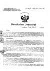 Vista preliminar de documento Resolucion Directoral Hospital Nacional Daniel Alcides Carrion