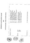 Vista preliminar de documento Resolucion Directoral Hospital Nacional Daniel Alcides Carrion