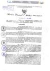 Vista preliminar de documento Resolución Directoral. N° 1917 - 2024 