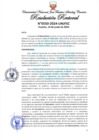 Vista preliminar de documento Resolución Rectoral