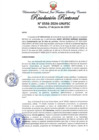 Vista preliminar de documento Resolución Rectoral