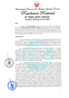 Vista preliminar de documento Resolución Rectoral