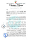 Vista preliminar de documento Resolución Rectoral
