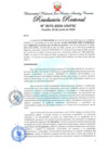 Vista preliminar de documento Resolución Rectoral