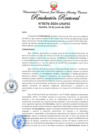 Vista preliminar de documento Resolución Rectoral