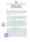 Vista preliminar de documento Resolución Rectoral