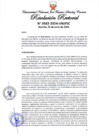 Vista preliminar de documento Resolución Rectoral