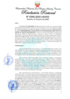 Vista preliminar de documento Resolución Rectoral