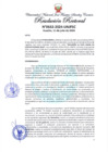 Vista preliminar de documento Resolución Rectoral