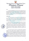Vista preliminar de documento Resolución Rectoral