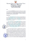 Vista preliminar de documento Resolución Rectoral