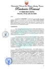 Vista preliminar de documento Resolución Rectoral