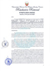 Vista preliminar de documento Resolución Rectoral
