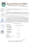 Vista preliminar de documento RESOLUCION DE ALCALDIA 381-2019-MPA-A