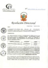 Vista preliminar de documento RD N°236-07-2024-DE-HCLLH-MINSA