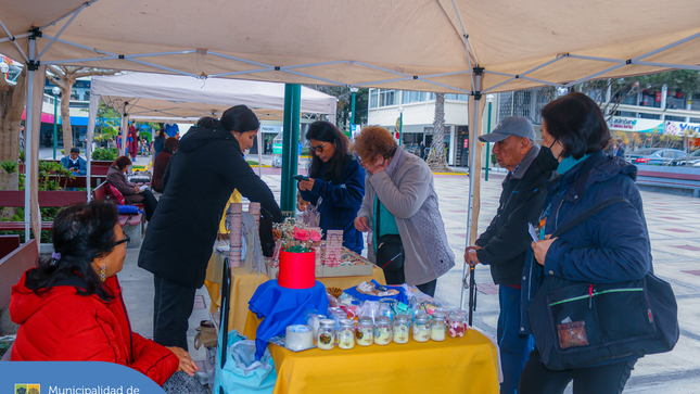 s maestros de talleres de nuestra Casa del Vecino Sanfelipano, exhibieron sus mejores productos hechos a mano en la EXPO FERIA de la Plazuela del Conjunto Residencial San Felipe. 🤩 Si te lo perdiste, volvemos el próximo viernes 16 de agosto. ¡Los esperamos!
