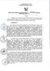 Vista preliminar de documento RGSR_2024_789