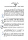 Vista preliminar de documento RGSR_2024_790