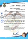 Vista preliminar de documento RESOLUCION DE ALCALDIA N° 221-2020-ALC-MDTAI