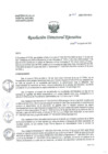 Vista preliminar de documento R.D.E. Nº162-2024-HNAL-OEA