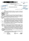 Vista preliminar de documento R.D.N.257-2024-INSN-DG