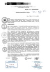 Vista preliminar de documento R.D.N.264-2024-INSN-DG