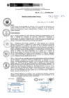 Vista preliminar de documento R.D.N.265-2024-INSN-DG