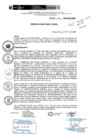 Vista preliminar de documento R.D.N.266-2024-INSN-DG