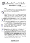 Vista preliminar de documento RESOLUCION GERENCIAL 252-2024-MPA-GM
