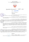 Vista preliminar de documento RD Nº001029 06-03-2023