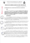 Vista preliminar de documento RG0217-2024