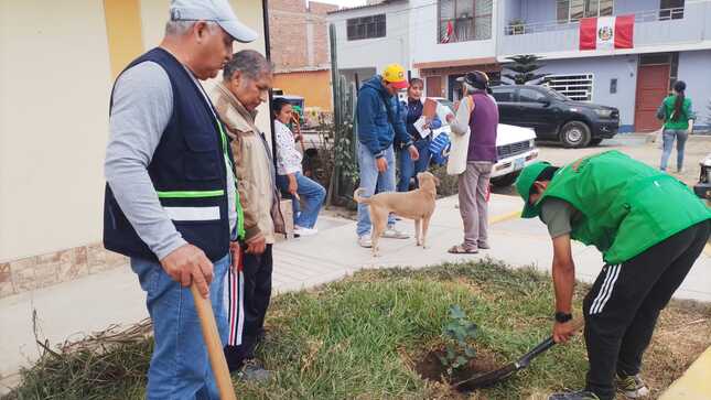 ARBORIZACIÓN AV MESONES MURO PJ SUAZO 2