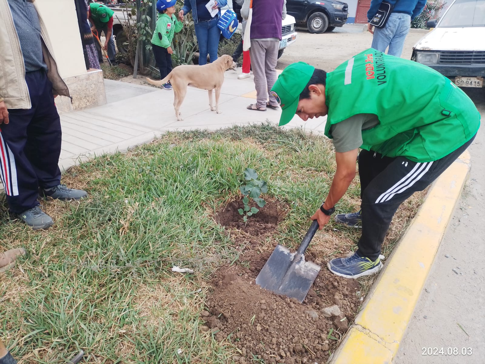 ARBORIZACIÓN AV MESONES MURO PJ SUAZO 3