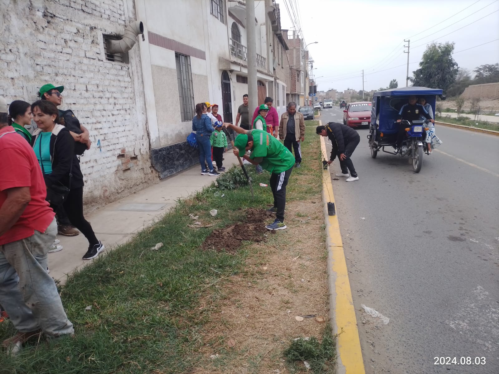 ARBORIZACIÓN AV MESONES MURO PJ SUAZO 5