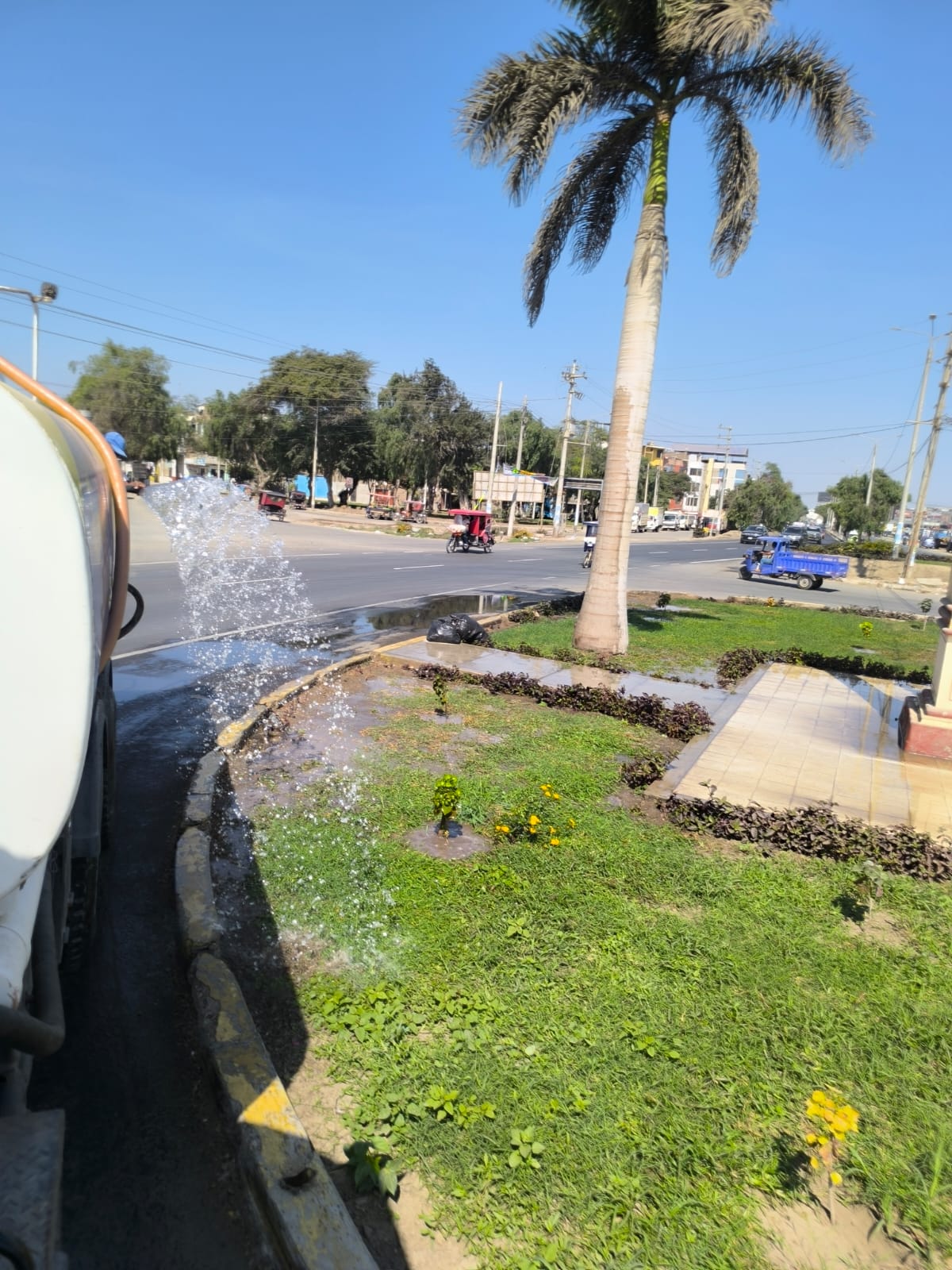mantenimiento de áreas verdes en Leguía y salida norte de Chiclayo