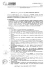 Vista preliminar de documento DIRECTIVA 4