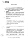 Vista preliminar de documento DIRECTIVA 3