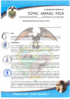 Vista preliminar de documento RESOLUCION DE ALCALDIA N° 272-2020-ALC-MDTAI