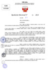 Vista preliminar de documento Resolucion Directoral N° 004489-2024