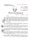 Vista preliminar de documento Resolucion Directoral Hospital Nacional HNDAC