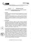 Vista preliminar de documento DIRECTIVA 7