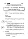 Vista preliminar de documento DIRECTIVA 8