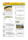 Vista preliminar de documento Boletín de abastecimiento y precio del ARROZ - 05/08/2024