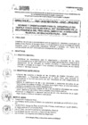 Vista preliminar de documento DIRECTIVA 11