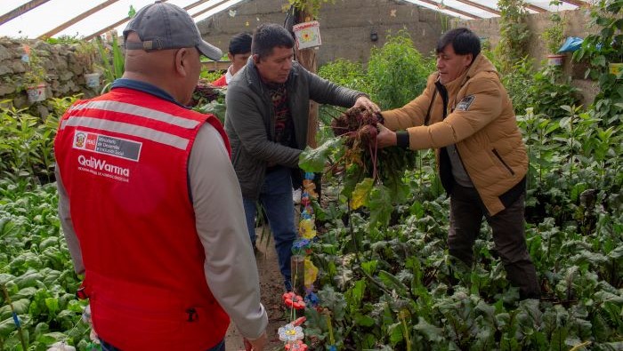 Alimentos frescos