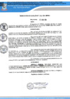Vista preliminar de documento RA N 238_2024 QR