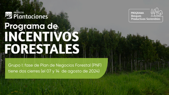 Comunicado que anuncia la ampliación de plazo de presentación de PNF del PIF para el grupo I